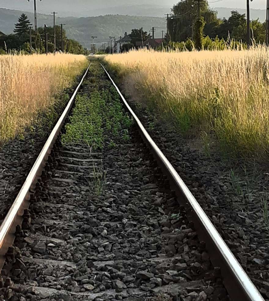 “Bine ai venit” și “drum bun”!