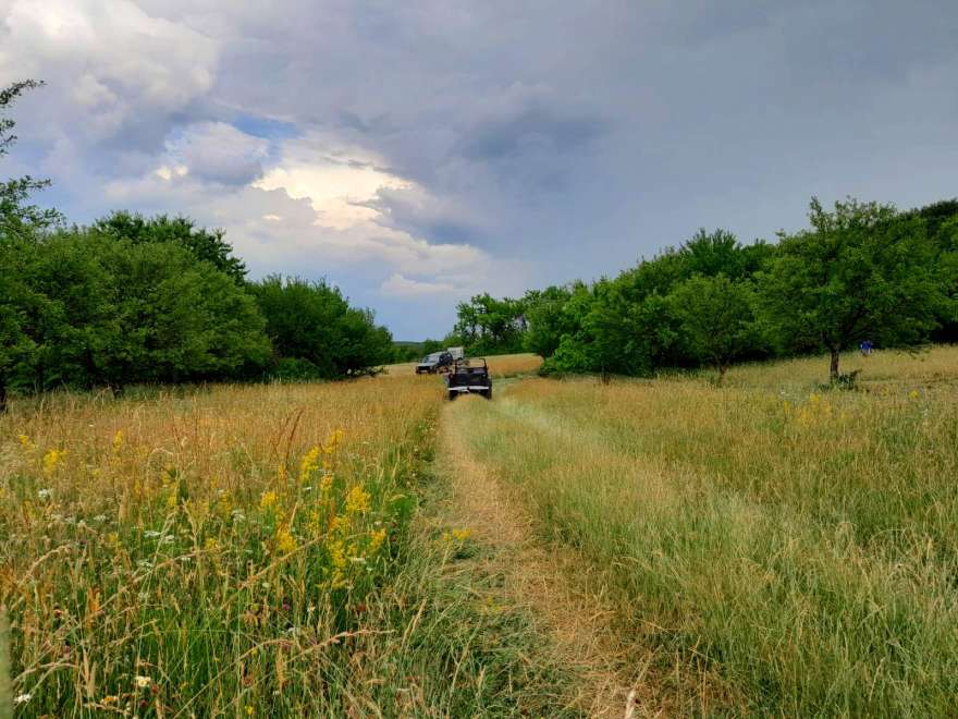 Îmi place la Vărai