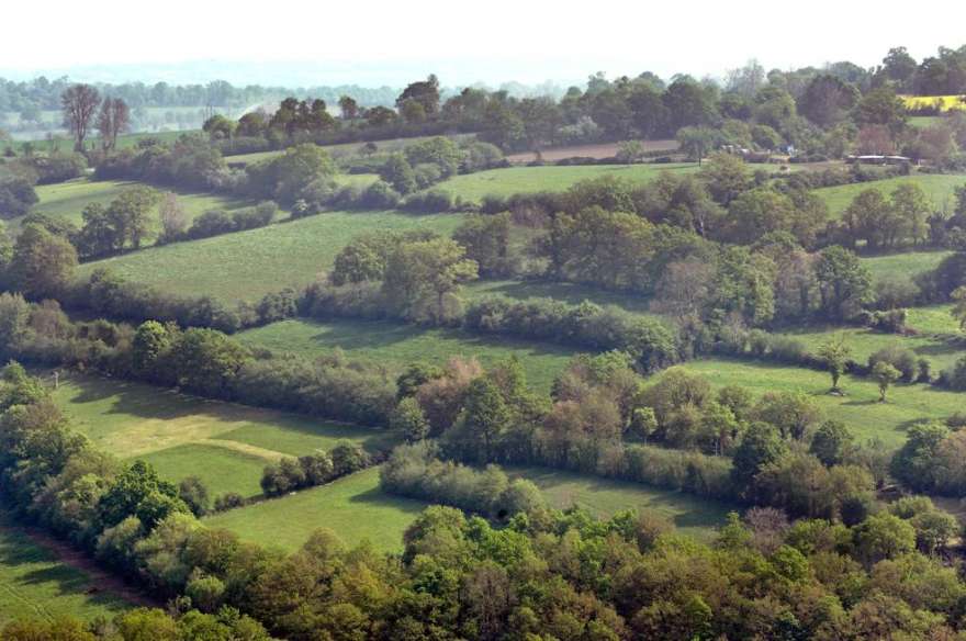 BOCAGE
