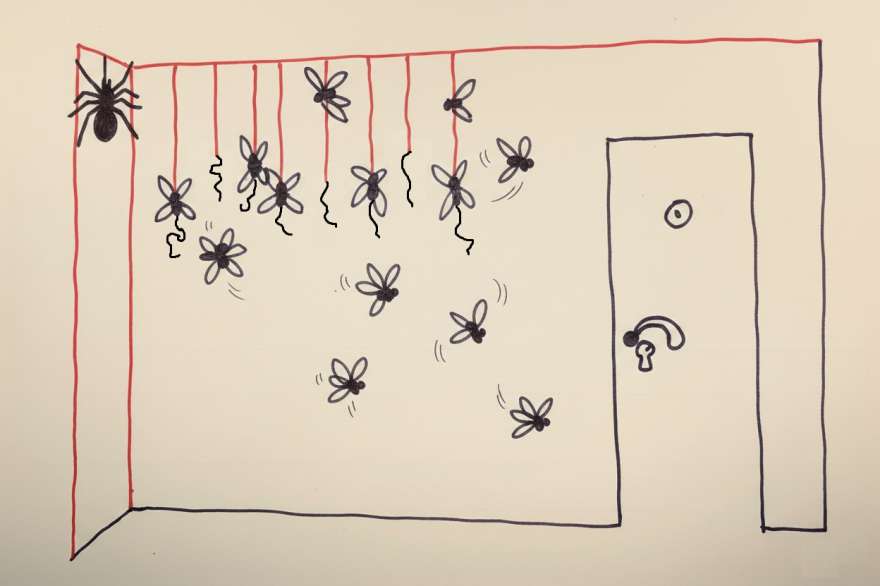 Paiangul se întoarce!