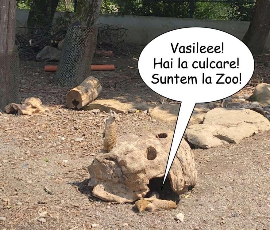 Zoo